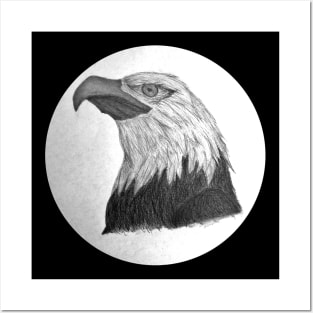 Bald Eagle Posters and Art